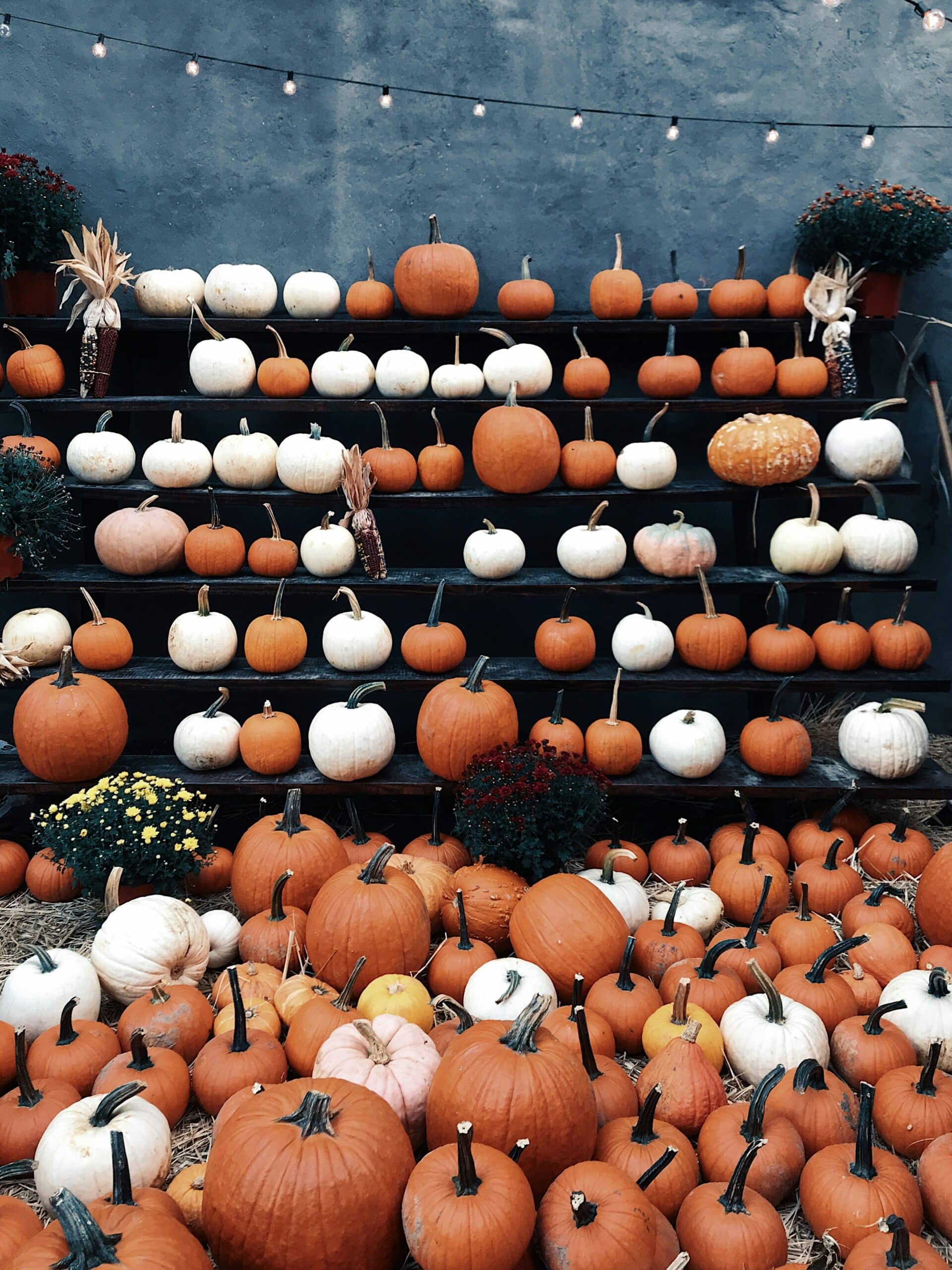 Halloween: pursuing light in a time of darkness